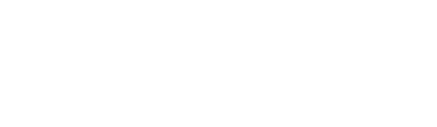 logo-fintex