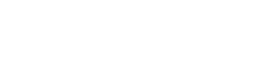 logo-nexio